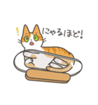 動く❤ MYZOOねこスタンプ（個別スタンプ：6）