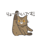 動く❤ MYZOOねこスタンプ（個別スタンプ：8）