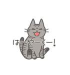 動く❤ MYZOOねこスタンプ（個別スタンプ：11）