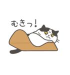 動く❤ MYZOOねこスタンプ（個別スタンプ：19）