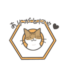 動く❤ MYZOOねこスタンプ（個別スタンプ：20）