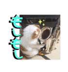 いまいま家のこどもたち（個別スタンプ：1）