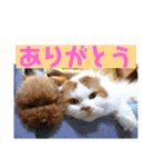 いまいま家のこどもたち（個別スタンプ：3）