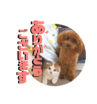 いまいま家のこどもたち（個別スタンプ：4）