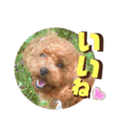 いまいま家のこどもたち（個別スタンプ：6）