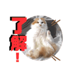 いまいま家のこどもたち（個別スタンプ：9）