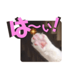 いまいま家のこどもたち（個別スタンプ：10）