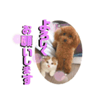 いまいま家のこどもたち（個別スタンプ：11）