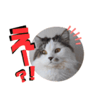 いまいま家のこどもたち（個別スタンプ：12）