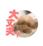 いまいま家のこどもたち（個別スタンプ：13）