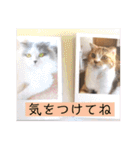 いまいま家のこどもたち（個別スタンプ：14）