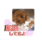 いまいま家のこどもたち（個別スタンプ：16）