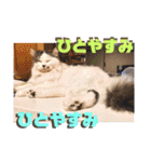 いまいま家のこどもたち（個別スタンプ：18）