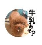 いまいま家のこどもたち（個別スタンプ：21）