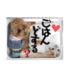 いまいま家のこどもたち（個別スタンプ：22）