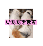 いまいま家のこどもたち（個別スタンプ：23）