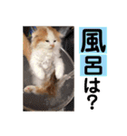 いまいま家のこどもたち（個別スタンプ：24）
