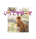 いまいま家のこどもたち（個別スタンプ：26）