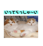 いまいま家のこどもたち（個別スタンプ：27）