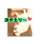 いまいま家のこどもたち（個別スタンプ：28）