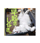 いまいま家のこどもたち（個別スタンプ：30）