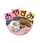 いまいま家のこどもたち（個別スタンプ：31）