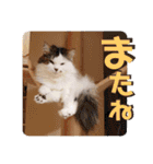 いまいま家のこどもたち（個別スタンプ：32）