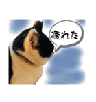 ひとことおまめ（個別スタンプ：3）