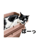 ひとことおまめ（個別スタンプ：21）