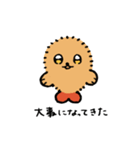 えびふらっこ2（個別スタンプ：11）