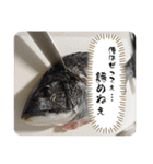 男の釣りスタンプ第二弾（個別スタンプ：5）