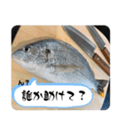男の釣りスタンプ第二弾（個別スタンプ：8）