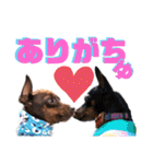 蘭丸先輩（個別スタンプ：9）