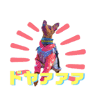 蘭丸先輩（個別スタンプ：17）