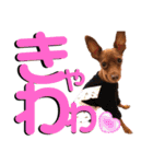 蘭丸先輩（個別スタンプ：28）