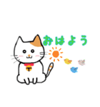 猫さん日本語（個別スタンプ：1）