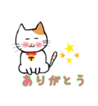 猫さん日本語（個別スタンプ：2）
