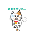 猫さん日本語（個別スタンプ：11）