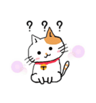 猫さん日本語（個別スタンプ：12）