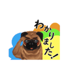 【動く】パグ犬のももすけ（個別スタンプ：5）