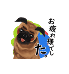 【動く】パグ犬のももすけ（個別スタンプ：18）