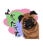 パグ犬のももすけ（個別スタンプ：19）