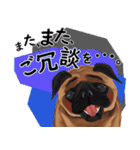 パグ犬のももすけ（個別スタンプ：22）