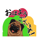 パグ犬のももすけ（個別スタンプ：35）