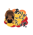 パグ犬のももすけ（個別スタンプ：37）