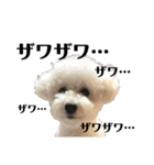ぼくうゆだよー（個別スタンプ：2）