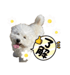 ぼくうゆだよー（個別スタンプ：5）