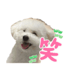 ぼくうゆだよー（個別スタンプ：9）