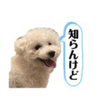 ぼくうゆだよー（個別スタンプ：14）