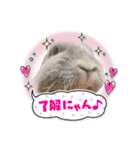 みうのららちゃん（個別スタンプ：1）